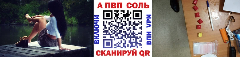 A PVP СК  Короча 