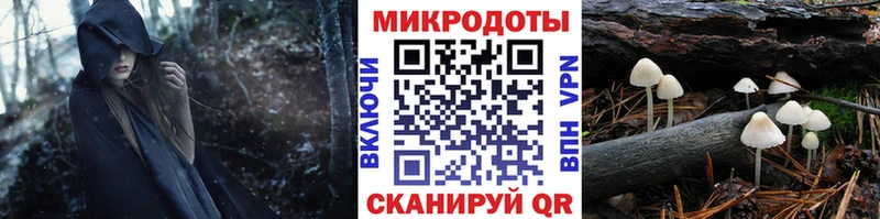 Галлюциногенные грибы мицелий  Короча 